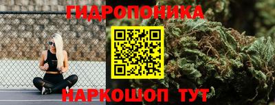 прущие грибы Кингисепп