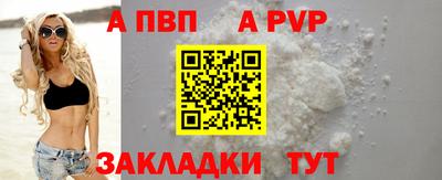 прущие грибы Кингисепп