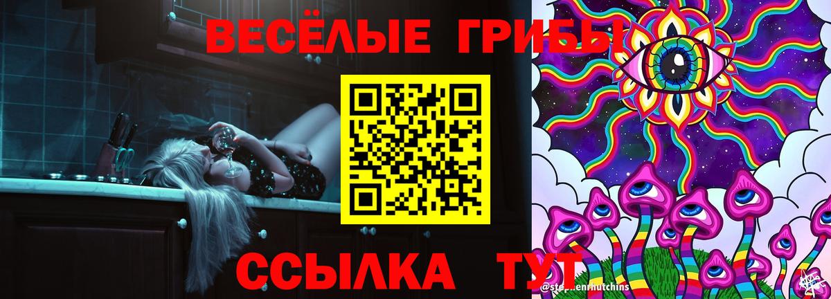 Галлюциногенные грибы Psilocybe  Черняховск  Псилоцибиновые грибы GOLDEN TEACHER 