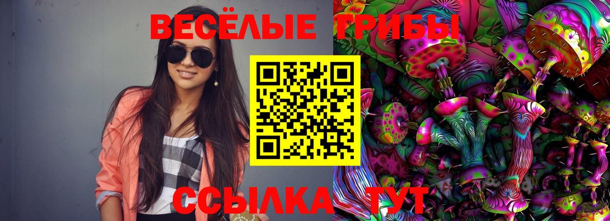 Черняховск  Галлюциногенные грибы Psilocybe  Вход с VPN 