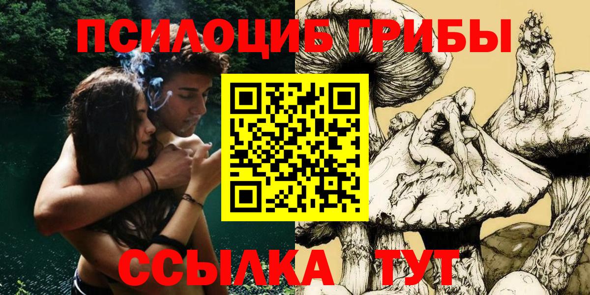 Псилоцибиновые грибы Psilocybe Черняховск